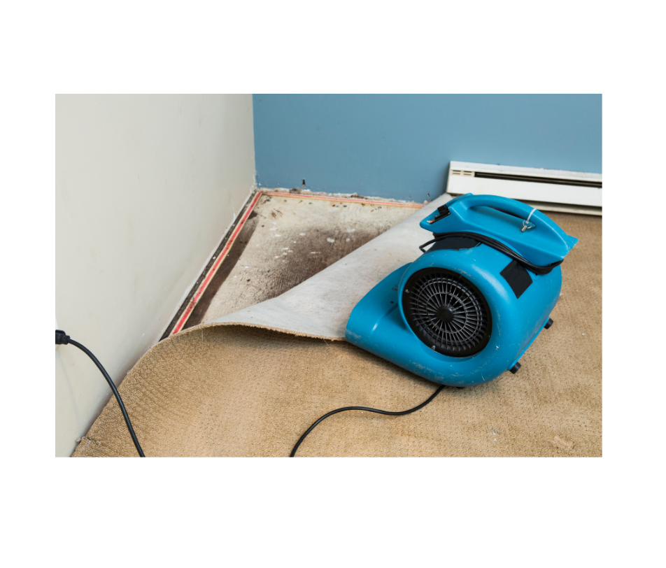 Water Damage Restoration on Long Island